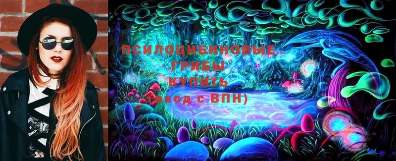 магазин продажи наркотиков  МЕГА зеркало  Галлюциногенные грибы Psilocybine cubensis  Баксан 